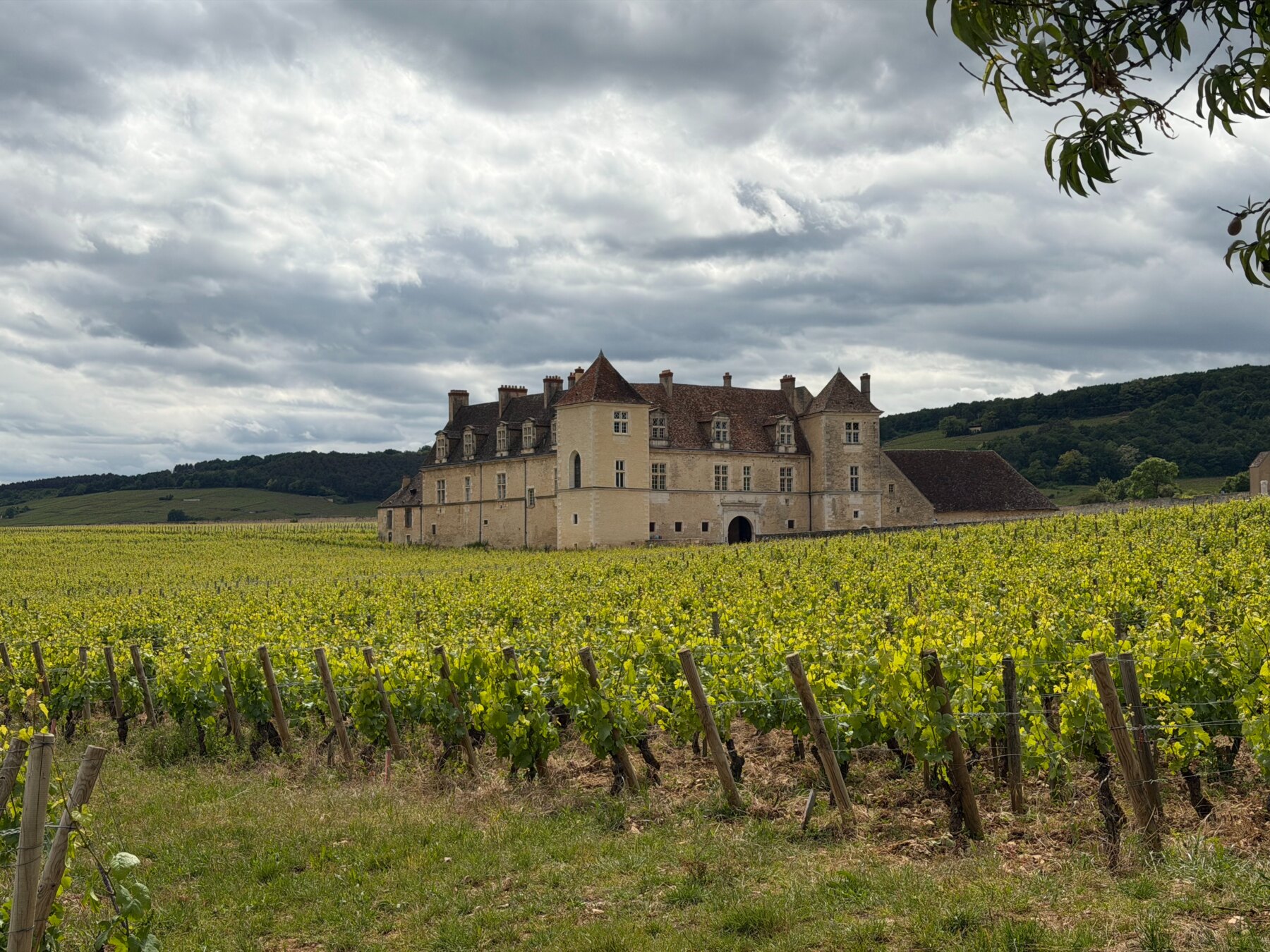Château du Clos de Vougeot among the vineyards Château du Clos de Vougeot among the vineyards